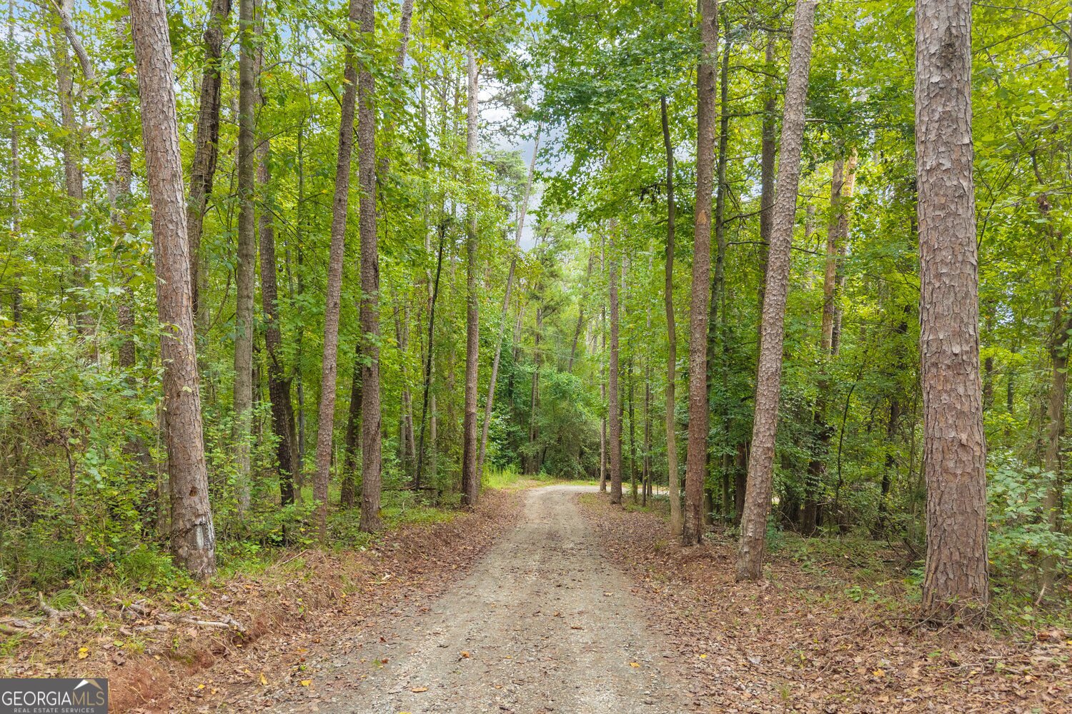 2716 Holcomb Drive Martin - Photo 9
