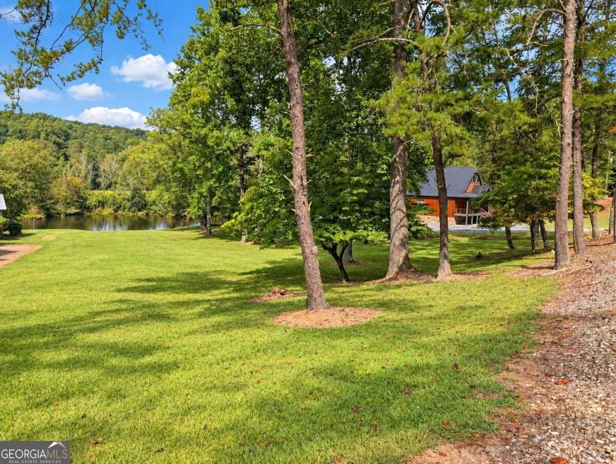 788 Fish Trap Trail Mineral Bluff - Photo 22