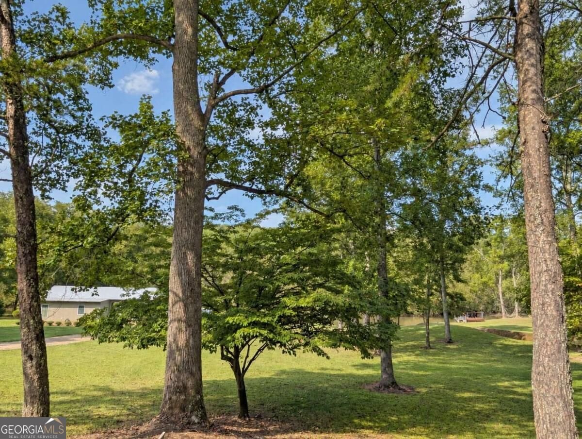 788 Fish Trap Trail Mineral Bluff - Photo 24