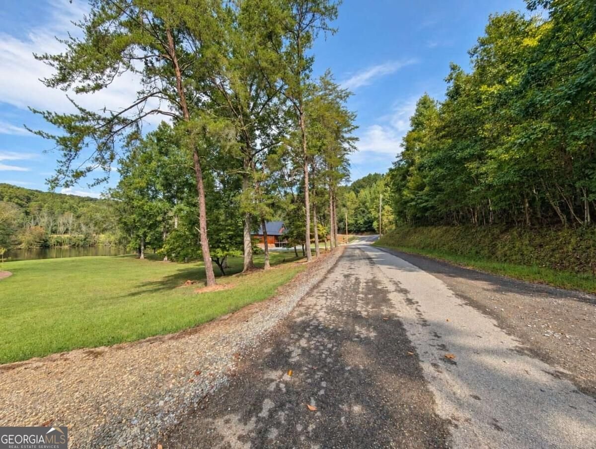 788 Fish Trap Trail Mineral Bluff - Photo 53