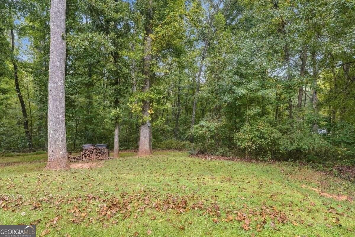 4836 Sumter Way Douglasville - Photo 33