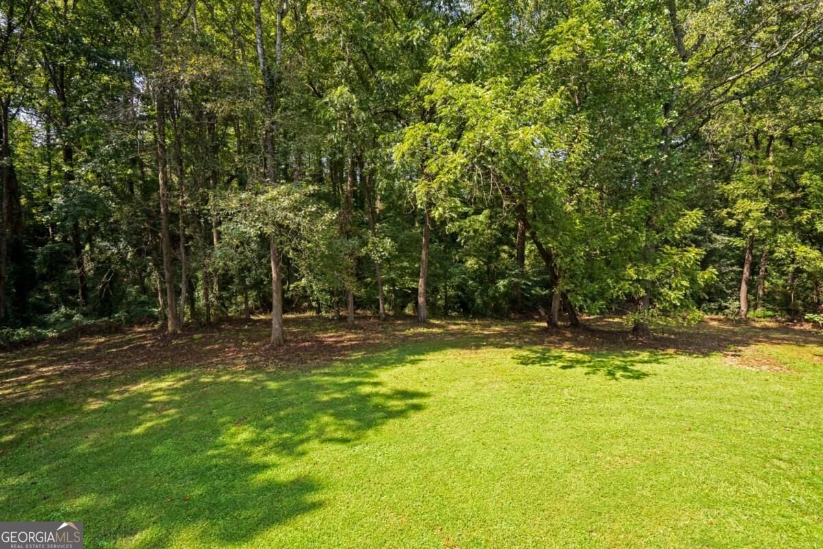 759 stoneview Drive Hoschton - Photo 19