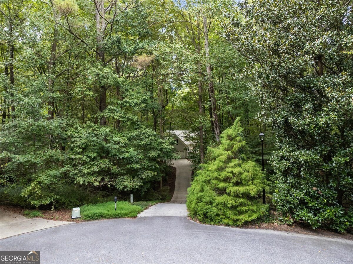 3355 Hopewell Chase Drive Alpharetta - Photo 64