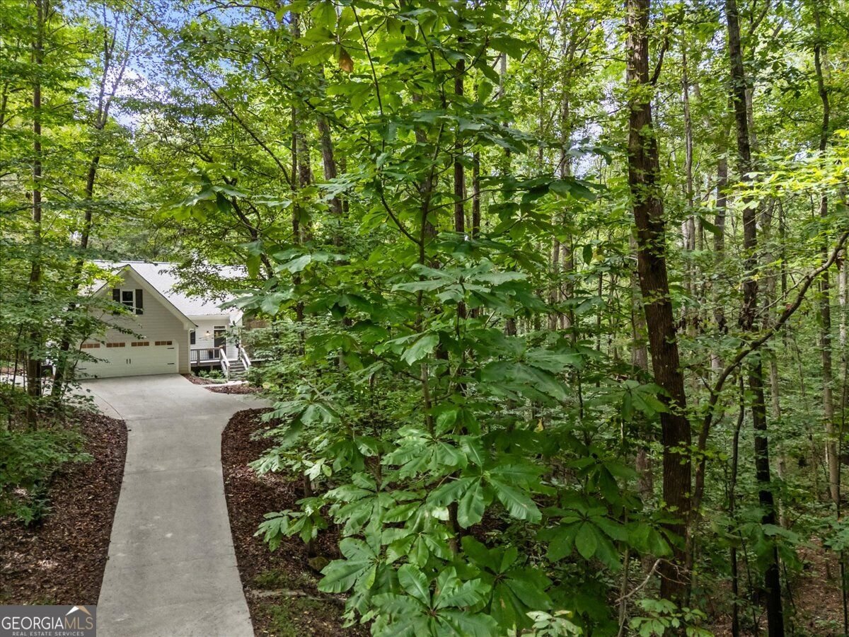 3355 Hopewell Chase Drive Alpharetta - Photo 66
