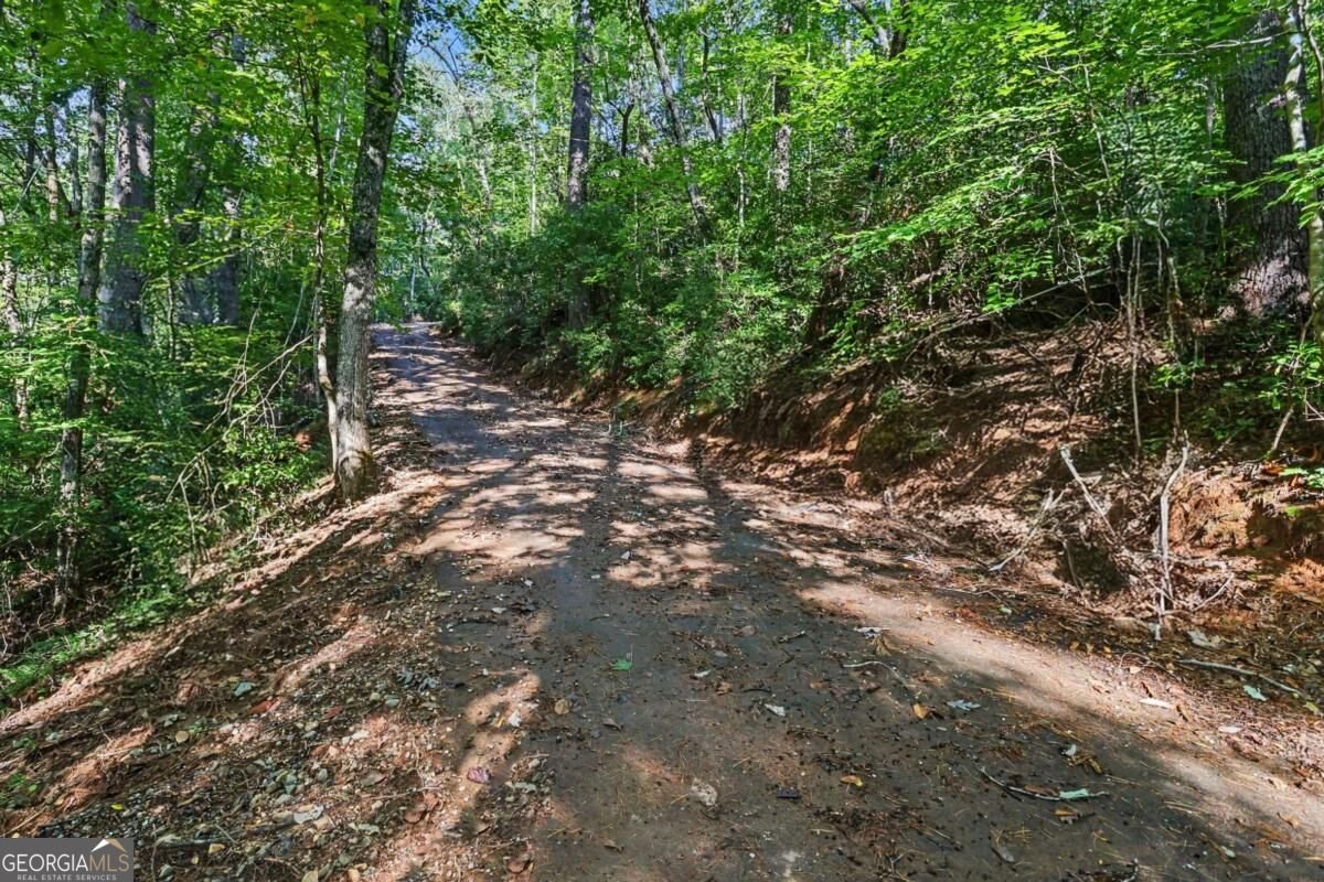 300 Pine Drive Dahlonega - Photo 30