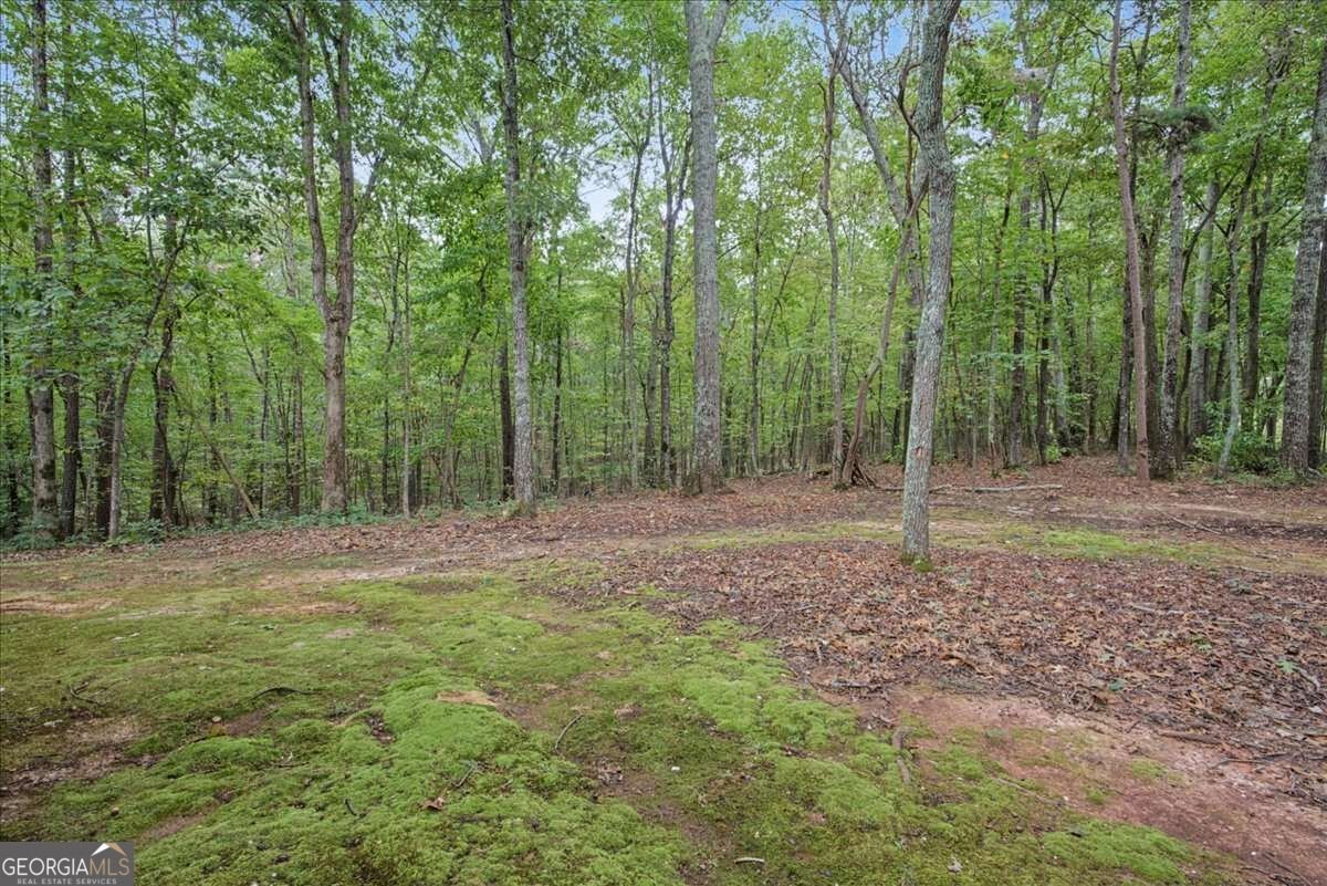 112 Old Mountain Road Rockmart - Photo 31