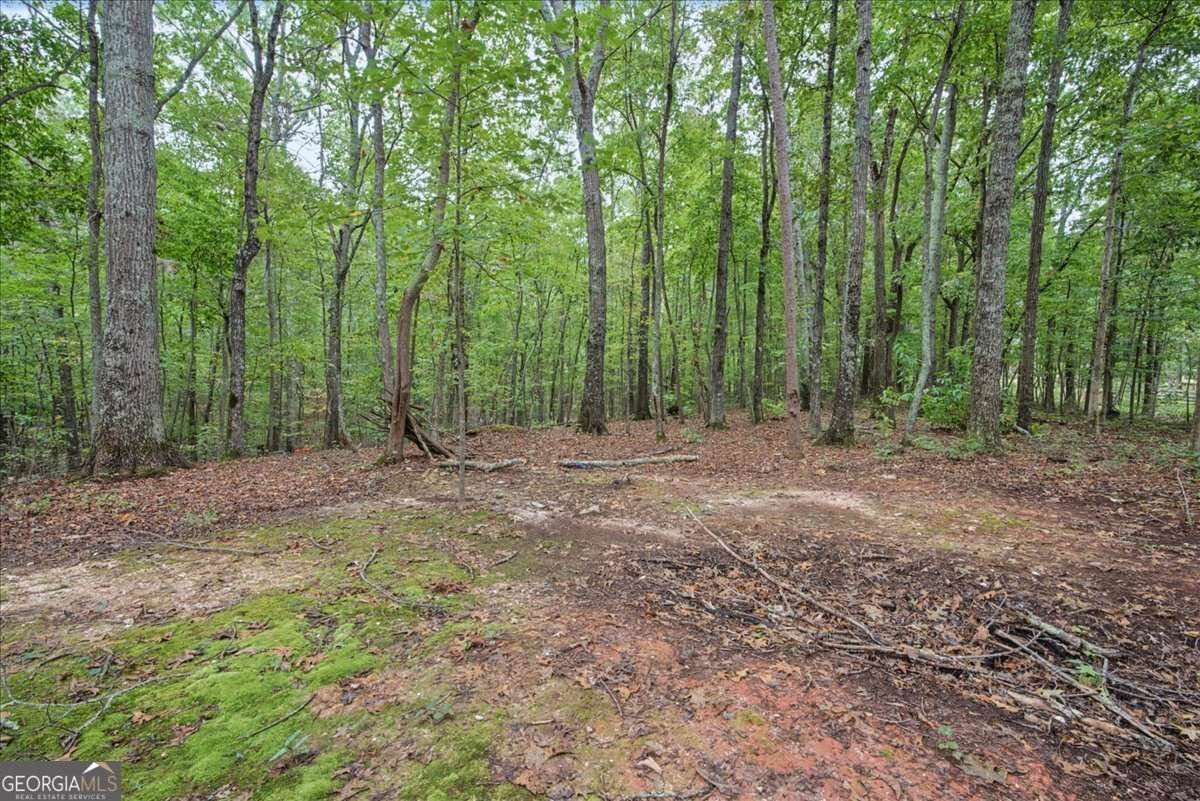 112 Old Mountain Road Rockmart - Photo 32