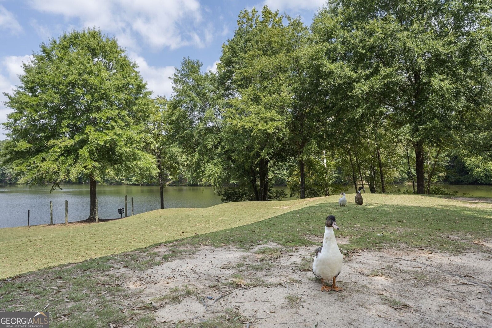 101 Lake Reserve Way Canton - Photo 43