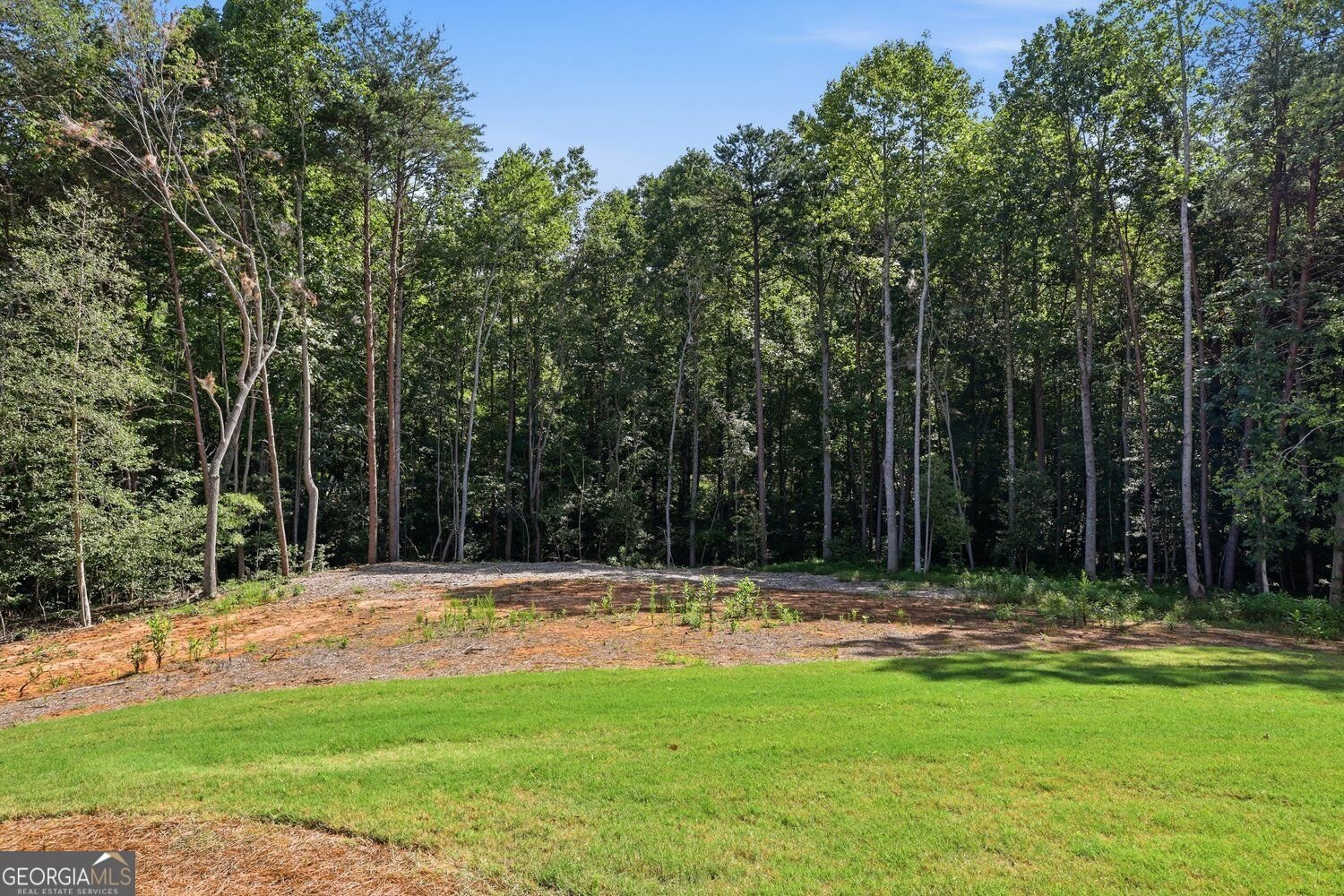 418 Beachwood Drive Cornelia - Photo 98