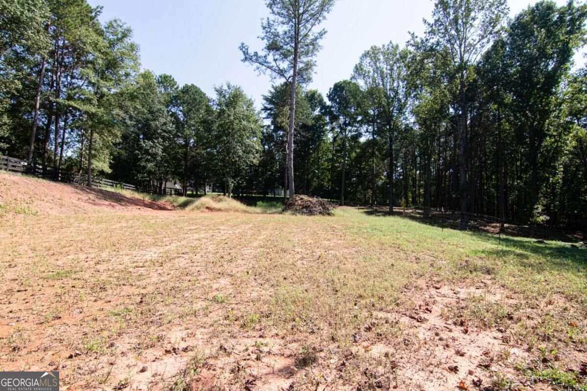 2714 Dorsey Peek Road Gainesville - Photo 38