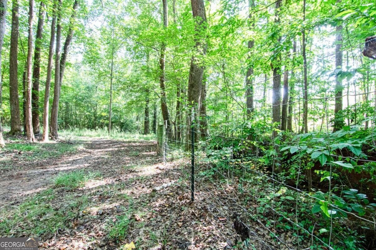 2714 Dorsey Peek Road Gainesville - Photo 51
