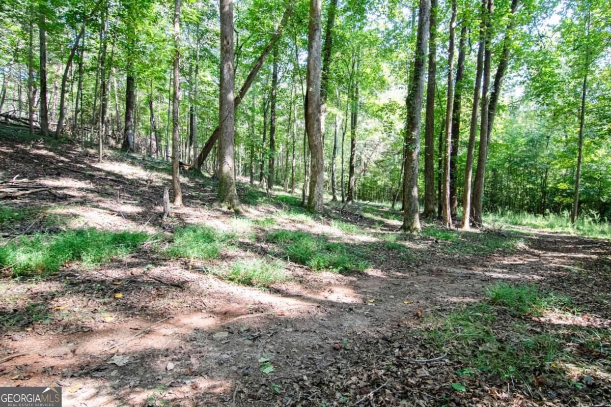 2714 Dorsey Peek Road Gainesville - Photo 54