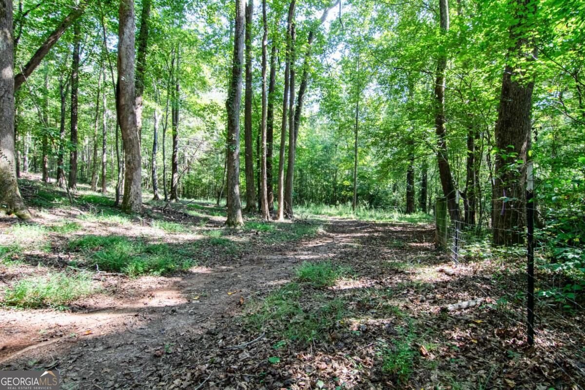 2714 Dorsey Peek Road Gainesville - Photo 55