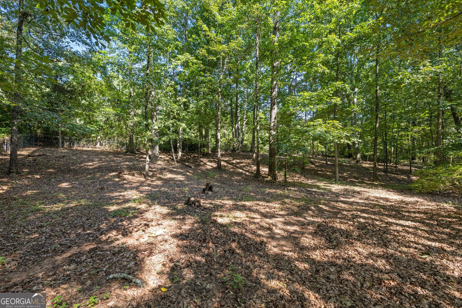 292 Foggy Bottom Drive Carrollton - Photo 48