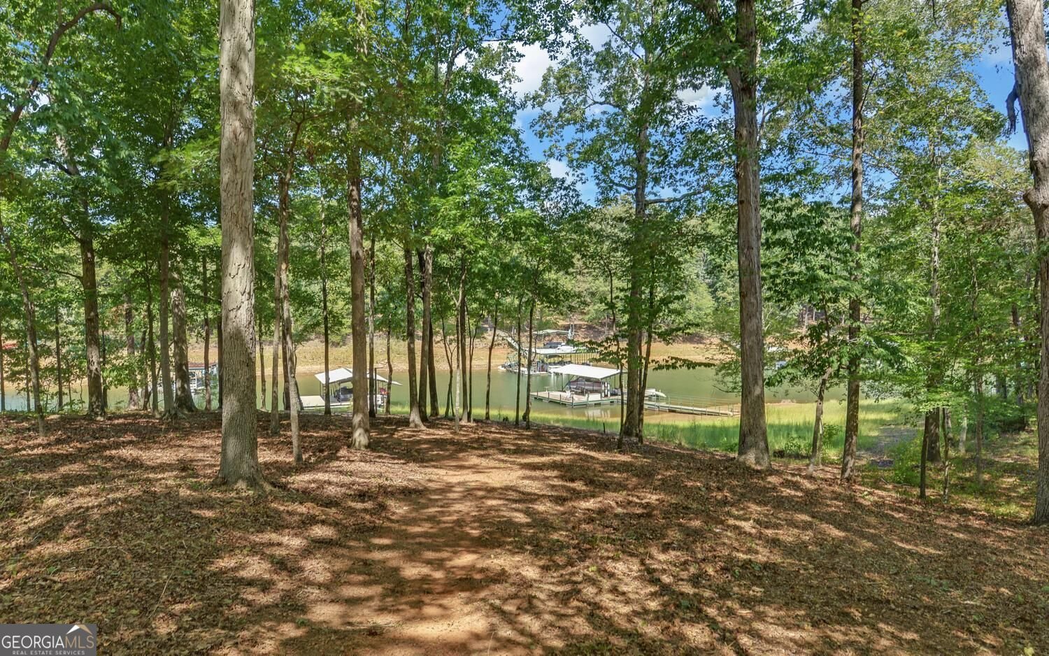 322 Paradise Point Road Hartwell - Photo 49