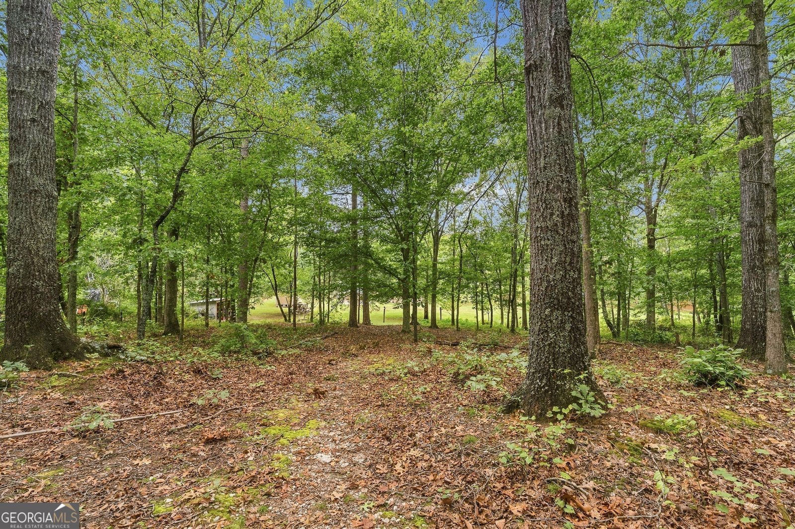 1639 Flowery Branch Road Auburn - Photo 54