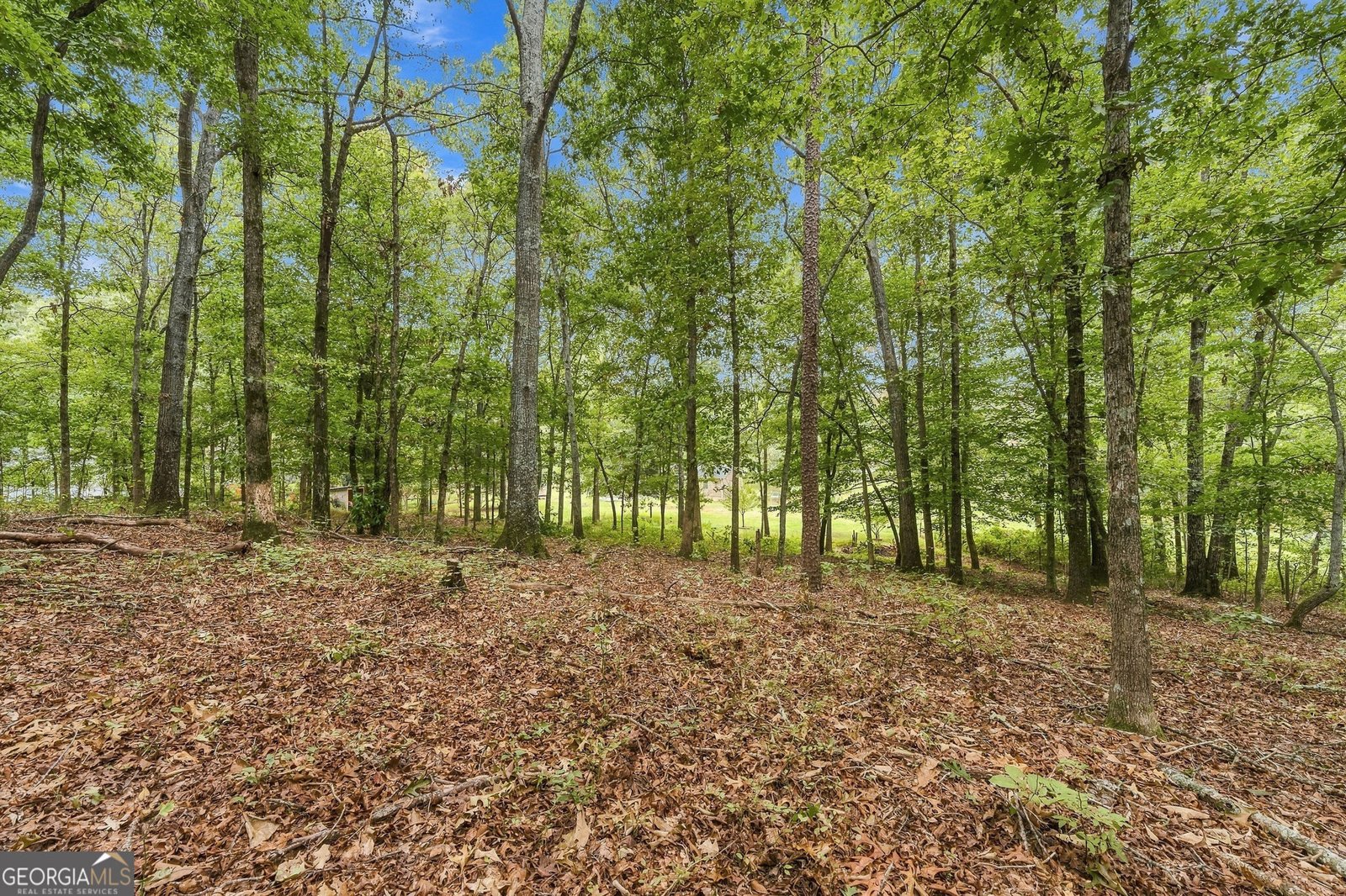 1639 Flowery Branch Road Auburn - Photo 56