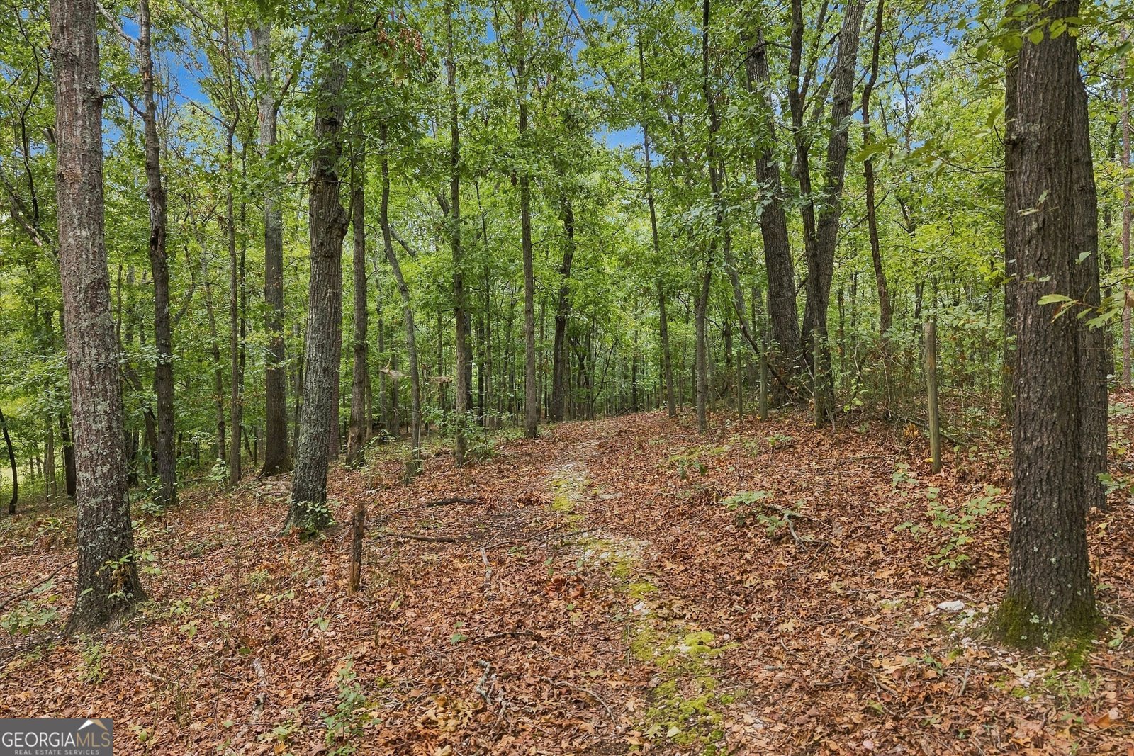 1639 Flowery Branch Road Auburn - Photo 59