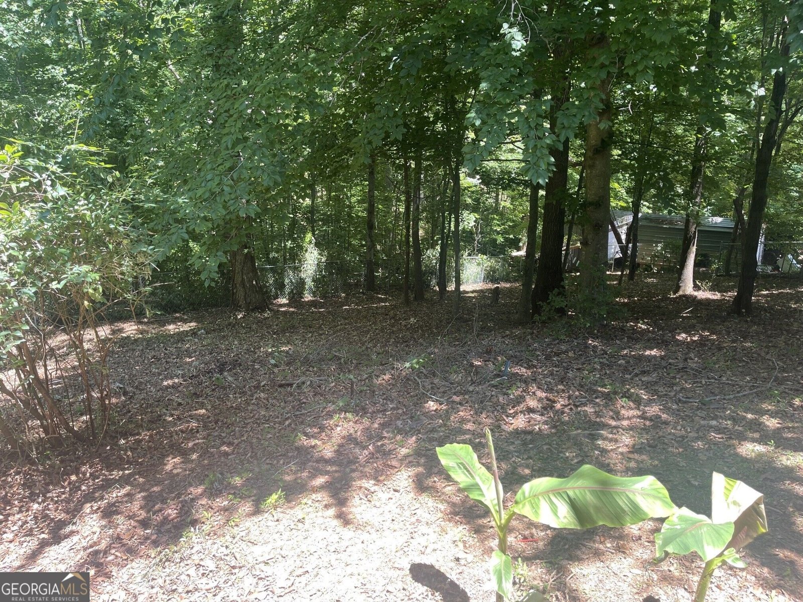 14 RAYELEE Circle Jasper - Photo 73