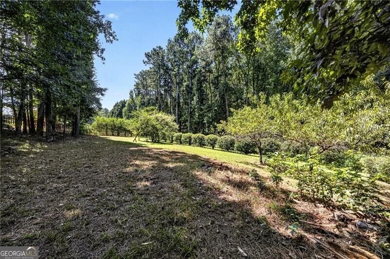 2730 Angel Oak Circle Dacula - Photo 47