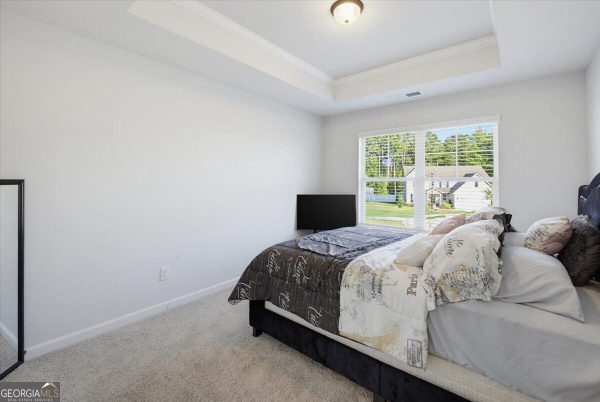 517 Redchurch Drive McDonough - Photo 39