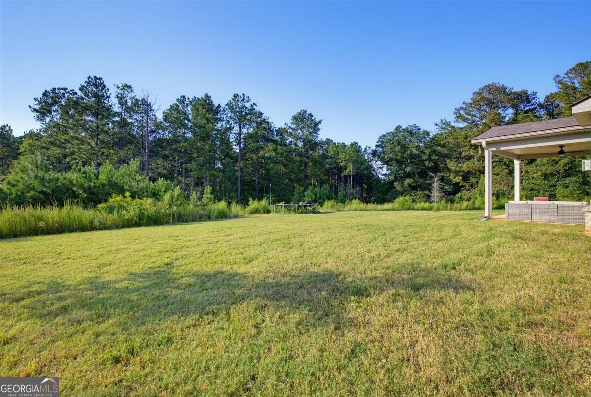 517 Redchurch Drive McDonough - Photo 47