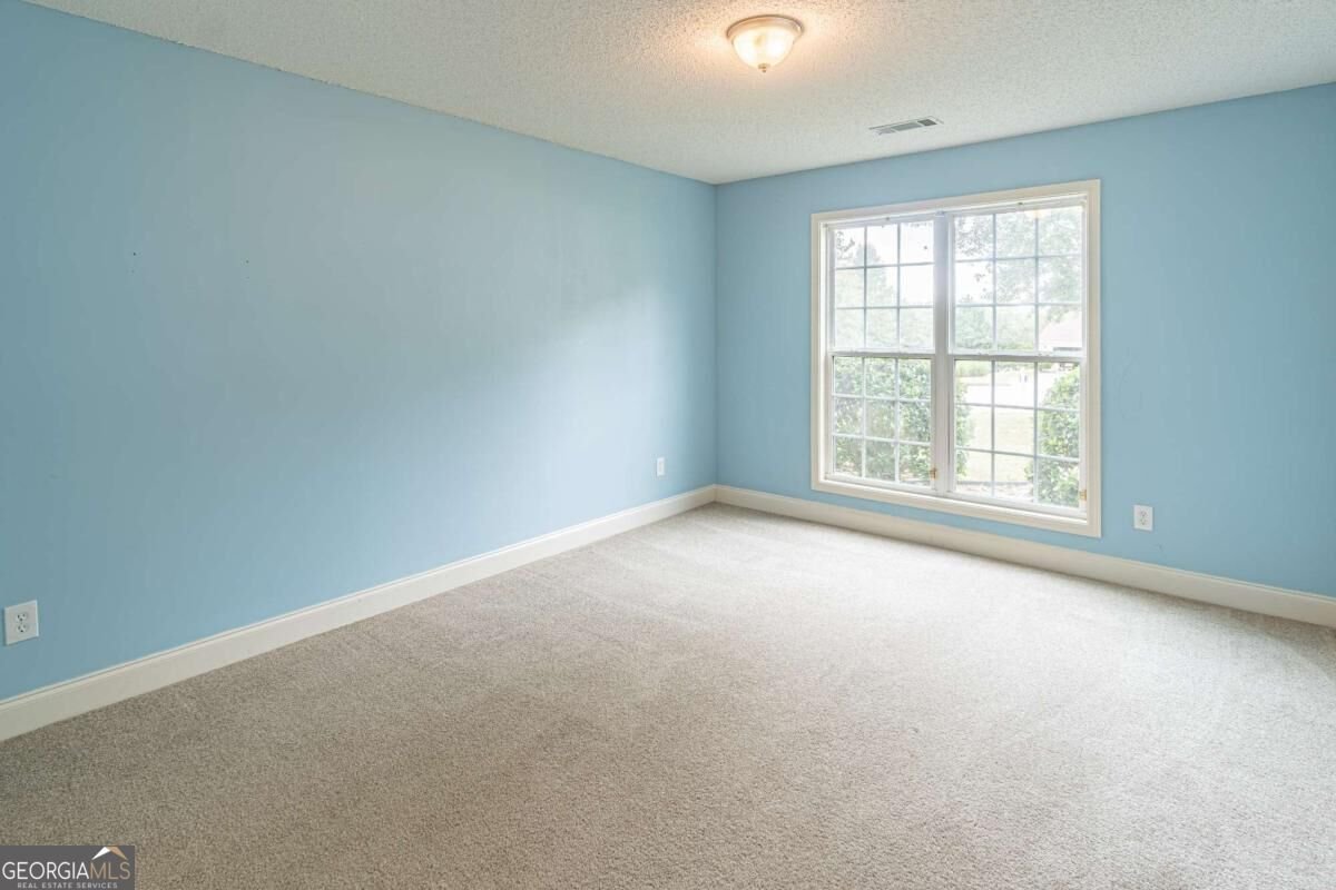 294 Ambassador Circle Winder - Photo 17