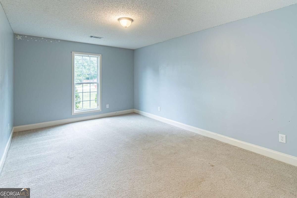 294 Ambassador Circle Winder - Photo 19
