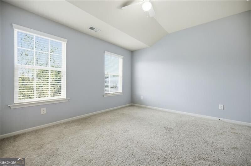 603 Stonehurst Lane Canton - Photo 57
