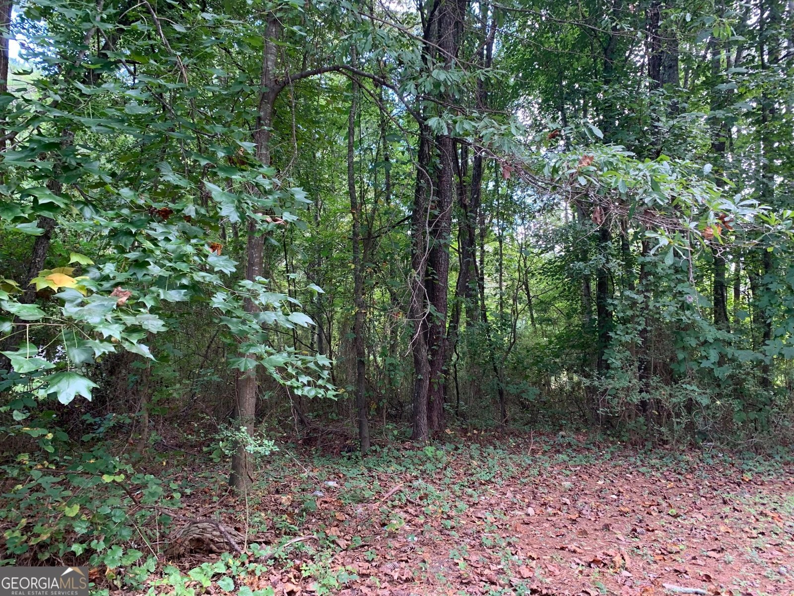 602 McCurdy Road Villa Rica - Photo 13