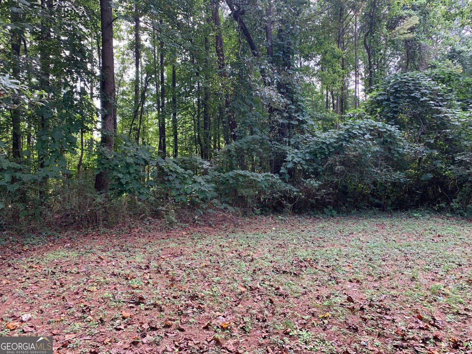 602 McCurdy Road Villa Rica - Photo 14