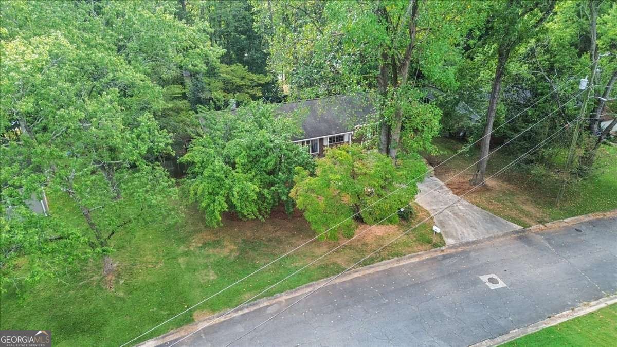 3915 Green Forest Lane Smyrna - Photo 37