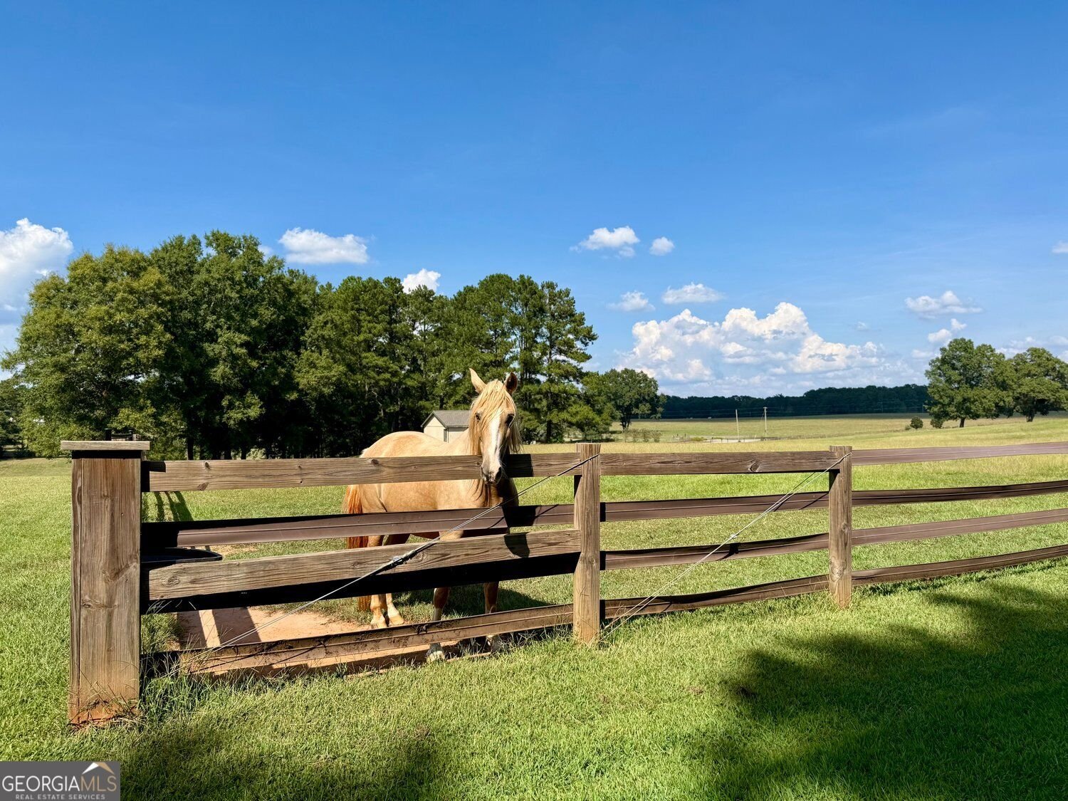 2655 Turner Road Williamson - Photo 41