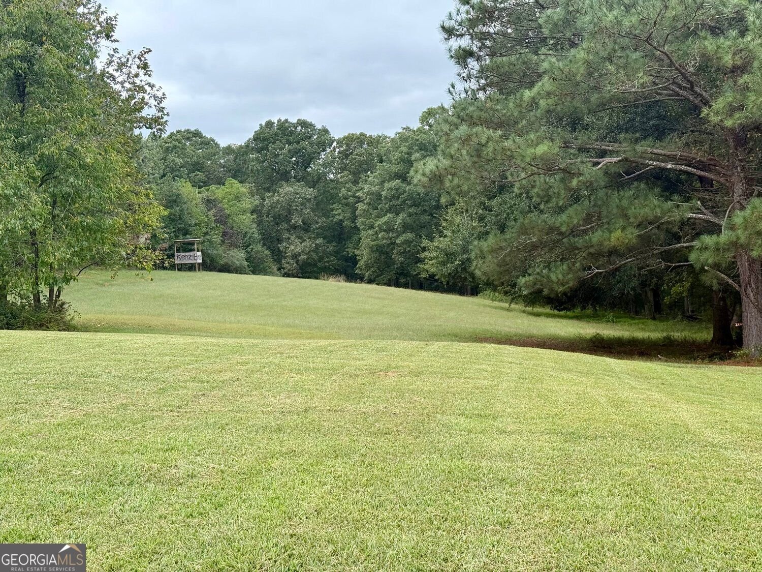 2655 Turner Road Williamson - Photo 58