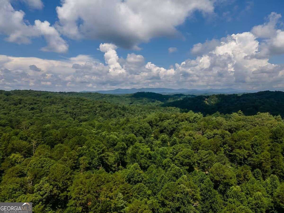 808 Villa Drive Ellijay - Photo 39