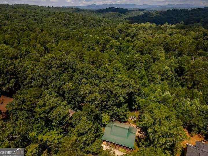 808 Villa Drive Ellijay - Photo 40