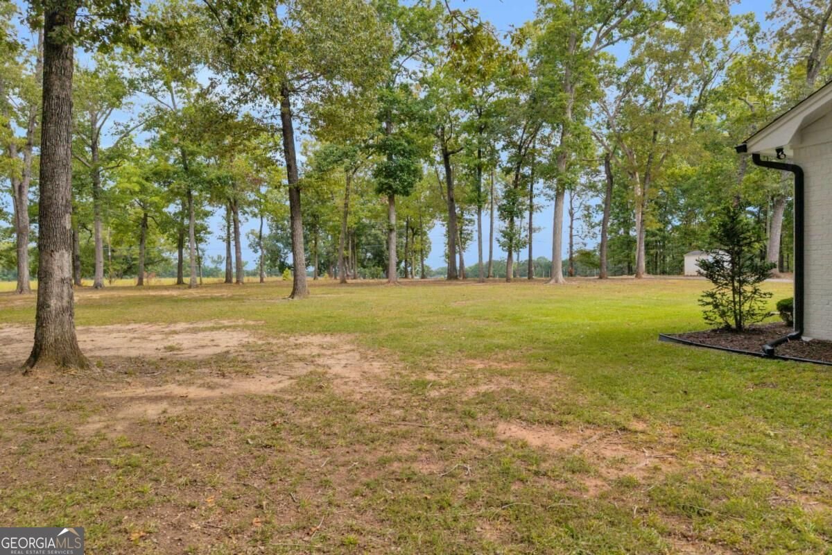 1200 Mount Carmel Road Mcdonough - Photo 47