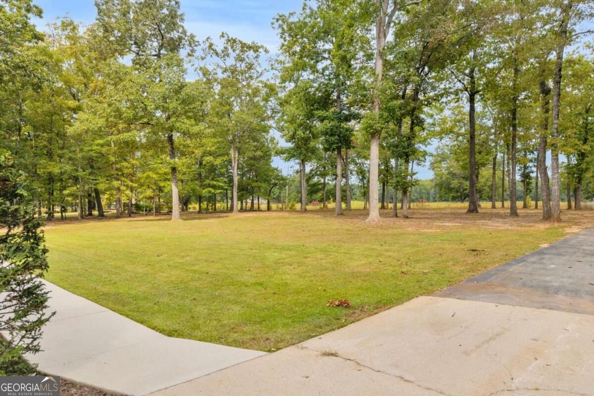 1200 Mount Carmel Road Mcdonough - Photo 48