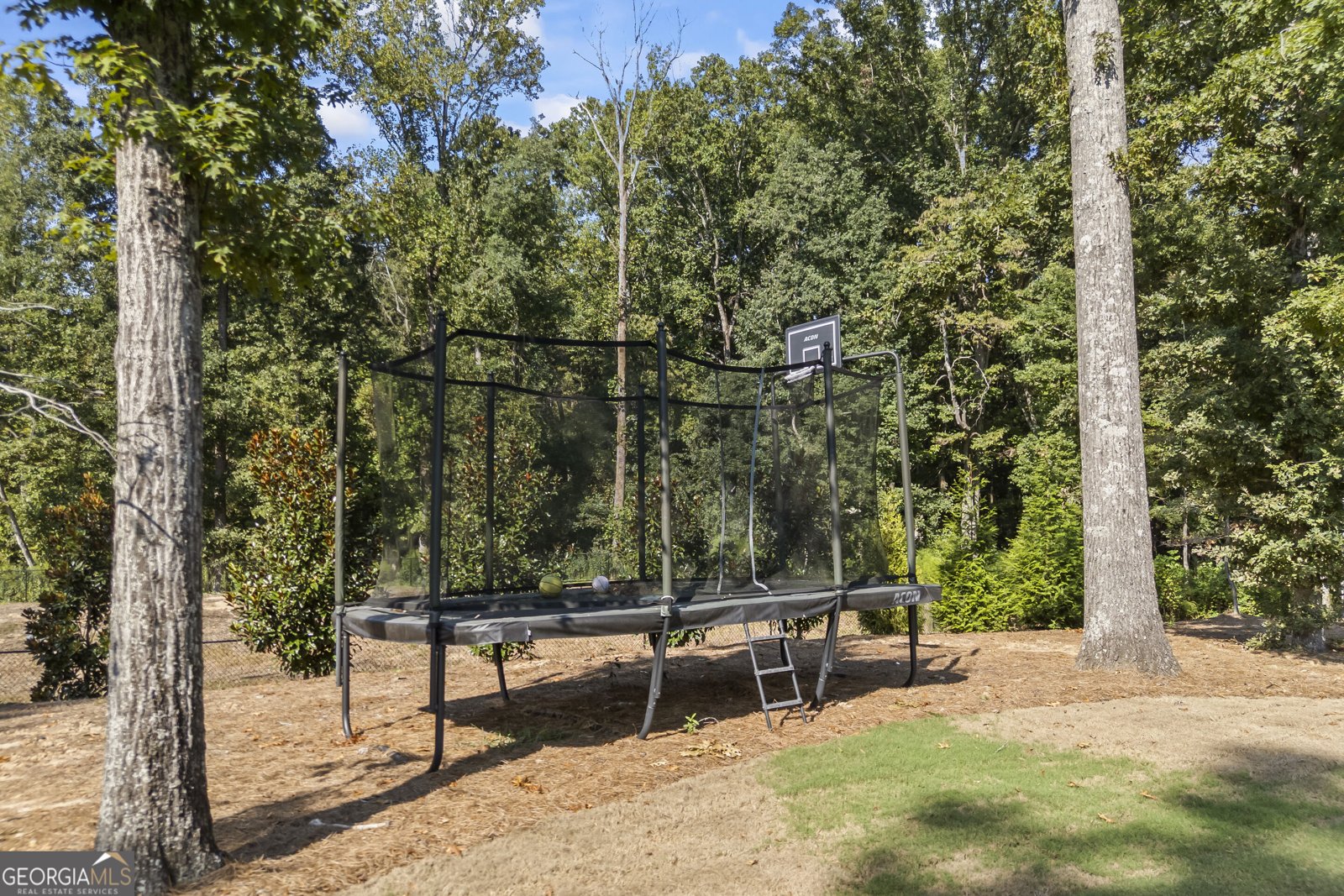 250 Ewing Way Dacula - Photo 68