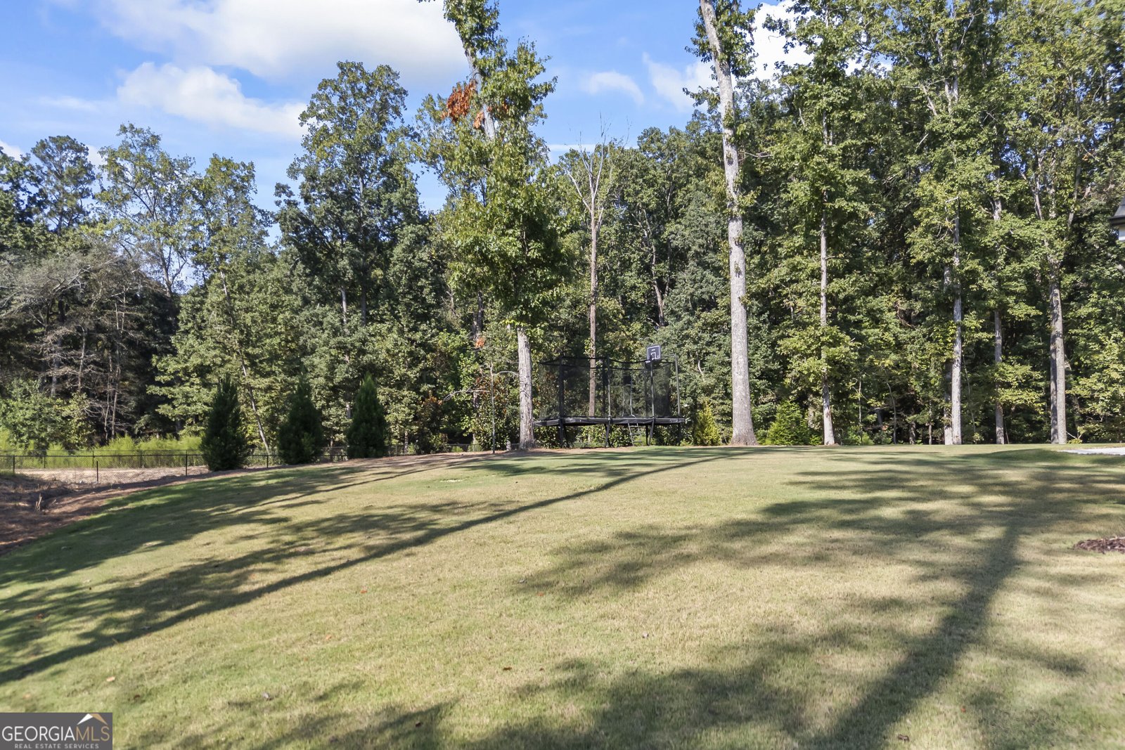 250 Ewing Way Dacula - Photo 69