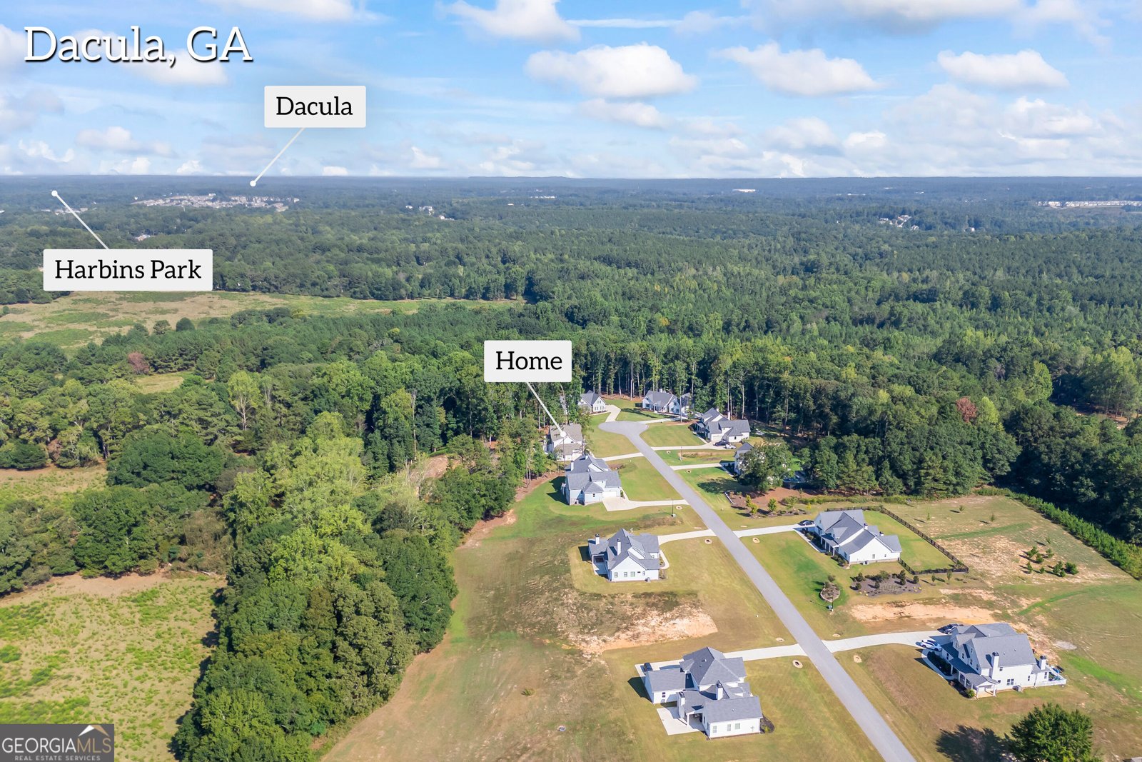 250 Ewing Way Dacula - Photo 72