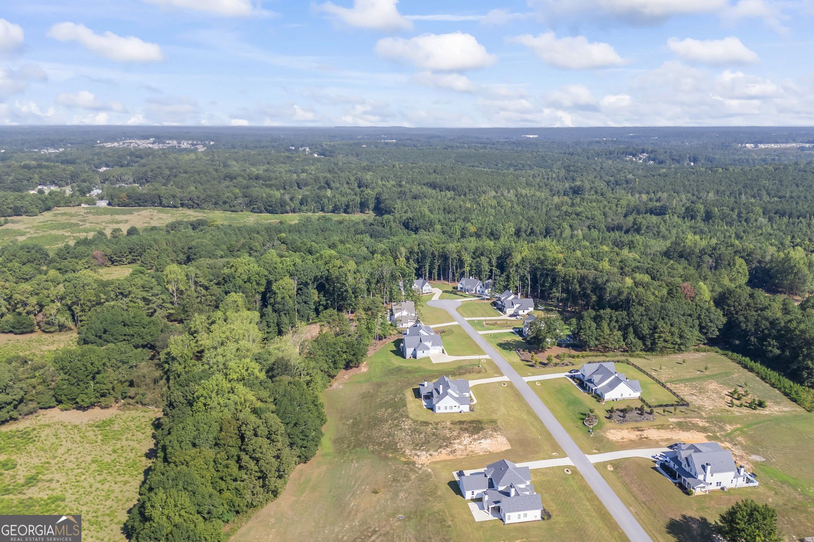 250 Ewing Way Dacula - Photo 73