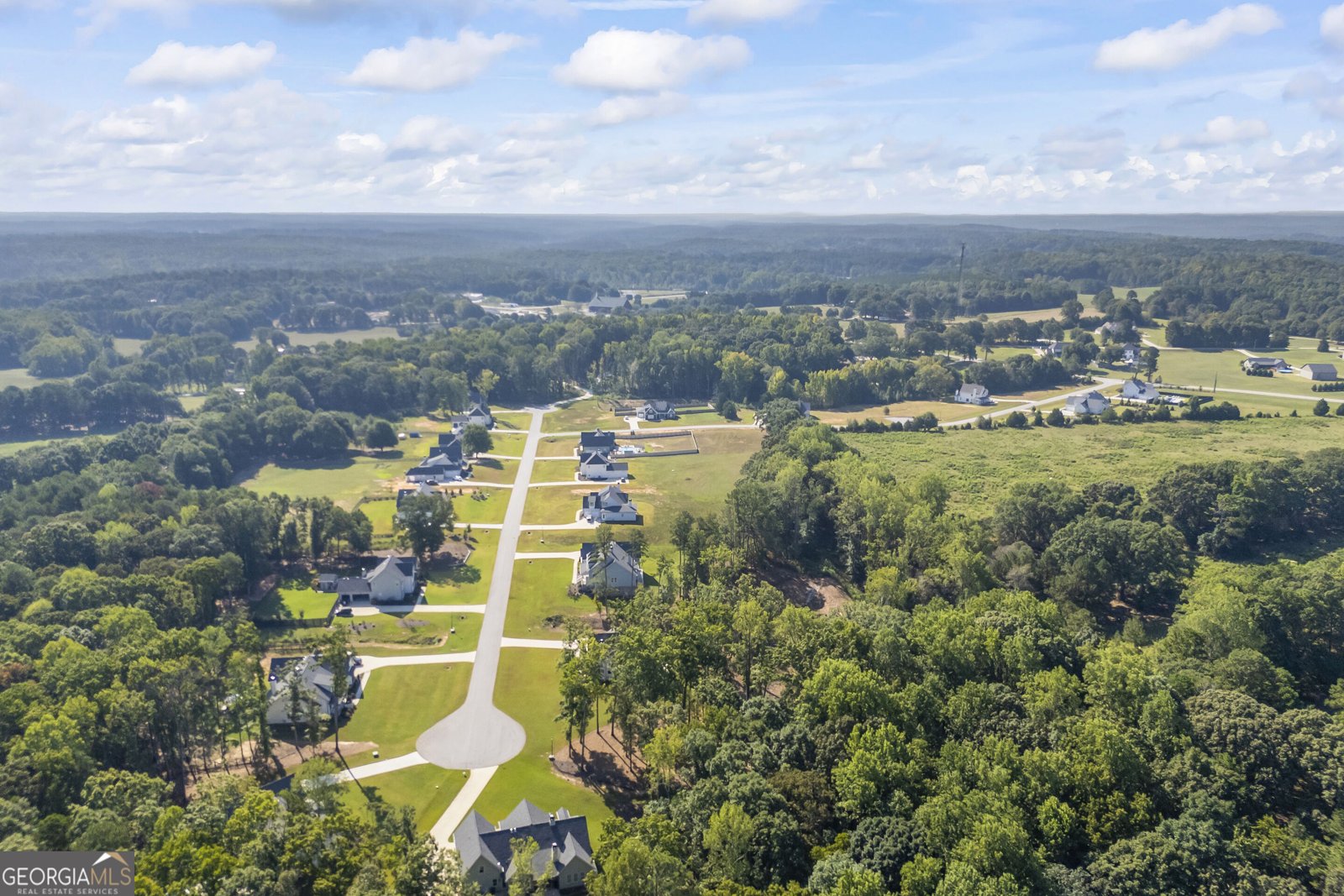 250 Ewing Way Dacula - Photo 75
