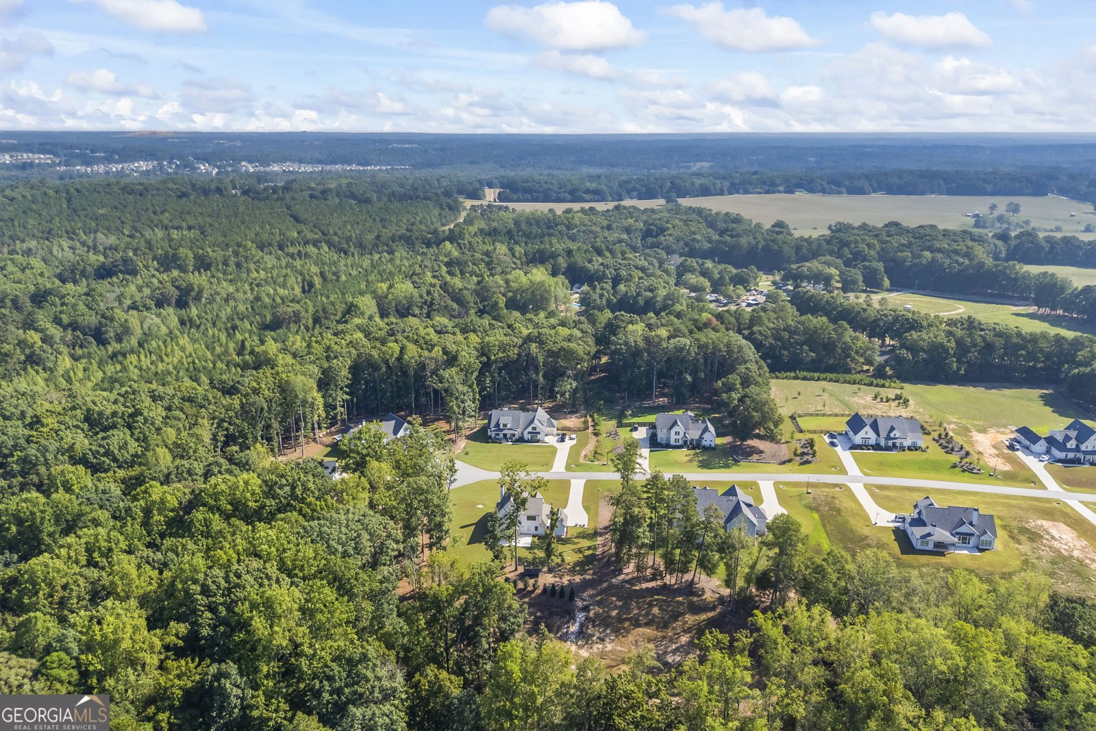 250 Ewing Way Dacula - Photo 76