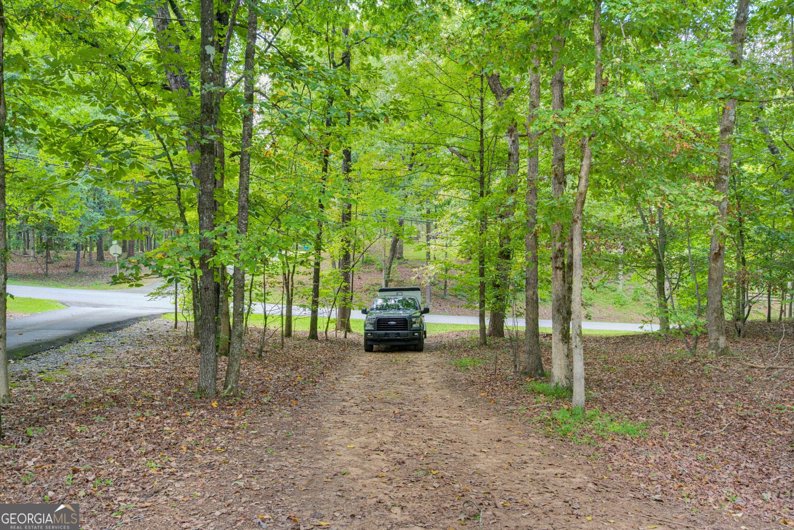 33 Mayapple Glen Dawsonville - Photo 33