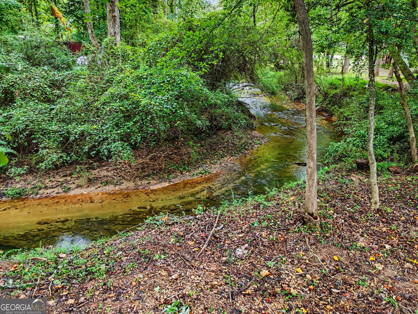 174 Tusquittee Trail Cornelia - Photo 39