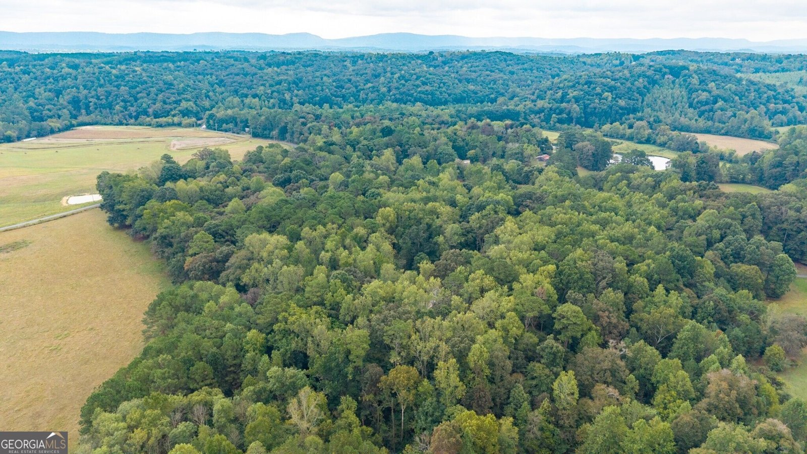 122 Bigham Road Trion - Photo 10