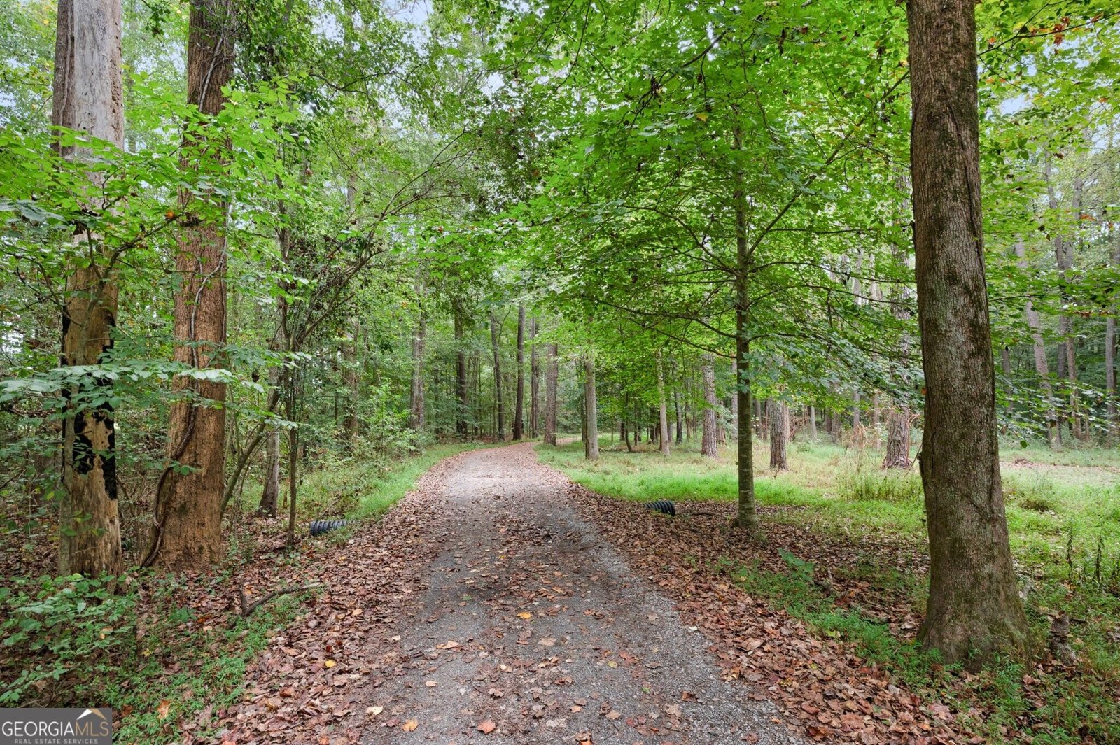 122 Bigham Road Trion - Photo 15
