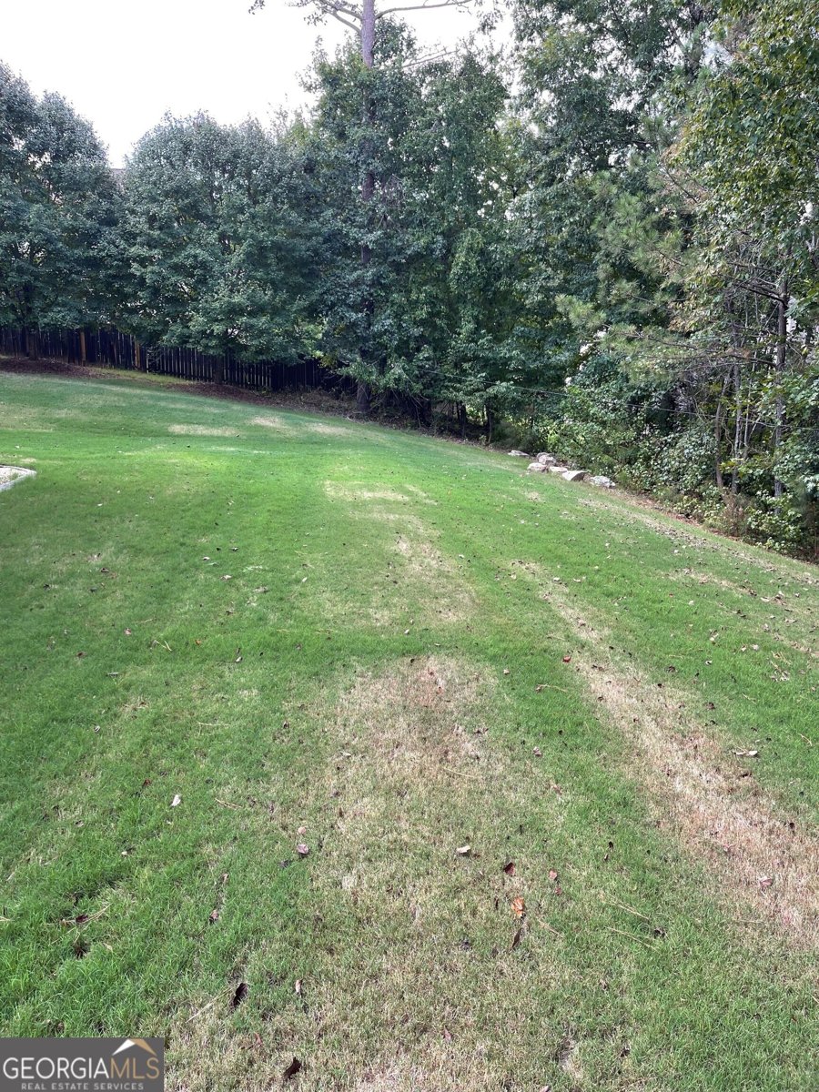 5818 Wild Herrin Trail Douglasville - Photo 38