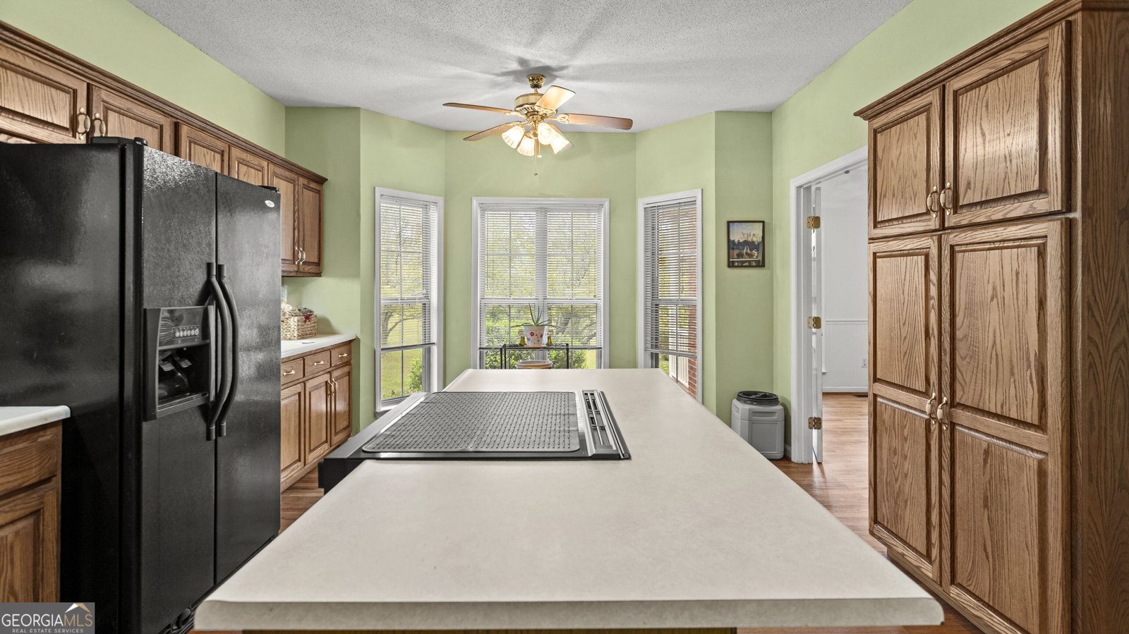 5283 Old River Road Statesboro - Photo 8